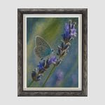 A Butterfly’s Pause