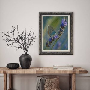A Butterfly’s Pause