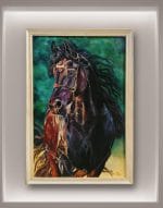 Arabian Stallion Portrait
