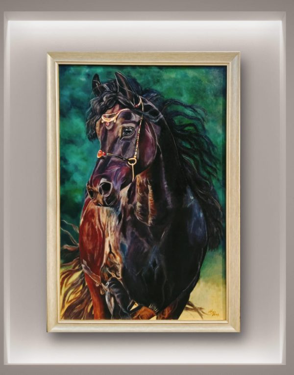Arabian Stallion Portrait
