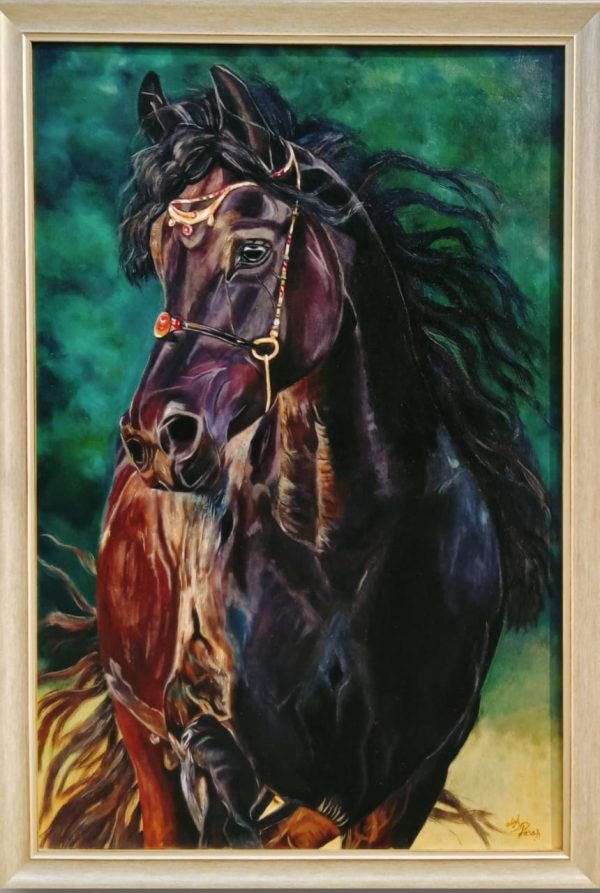 Arabian Stallion Portrait