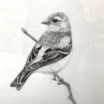 Hand-Drawn Graphite Sketch