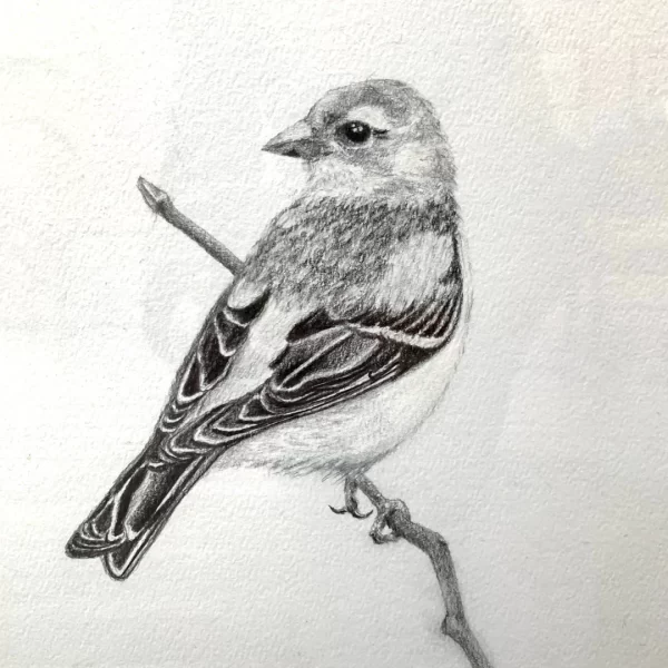 Hand-Drawn Graphite Sketch