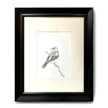 A realistic hand-drawn graphite pencil sketch of a finch bird perched on a twig, beautifully displayed in a matte black frame with white mat board.